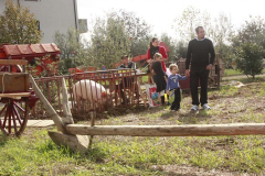 2012_carro-219