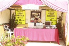 2012_carro-221