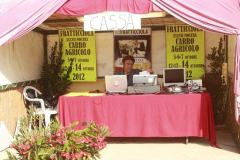 2012_carro-222