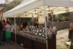 2012_carro-229