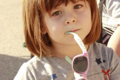 2012_carro-304