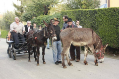 2012_carro-335