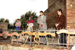 2012_carro-357