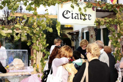 2012_carro-381