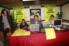 2012_carro-390