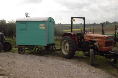 2012_carro-392