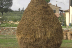 2012_carro-398