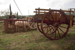 2012_carro-403