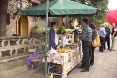 2012_carro-421