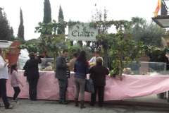 2012_carro-423