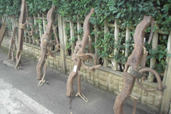 2012_carro-435