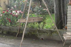 2012_carro-444