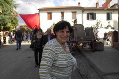 2012_carro-531