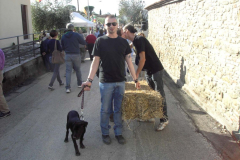 2012_carro-533