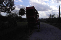 2012_carro-544