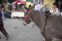 2012_carro-557