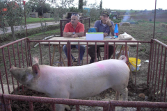 2012_carro-563