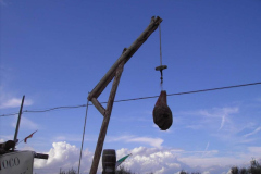 2012_carro-568