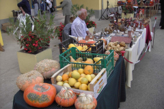 2012_carro-581