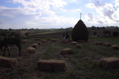 2012_carro-587