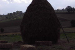2012_carro-588
