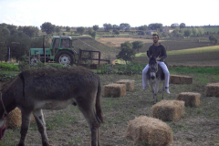 2012_carro-589