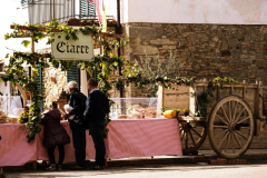 2013_carro-29