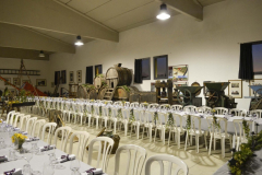2014_carro-9