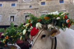 2015_cortona_carro-10