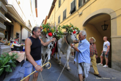 2015_cortona_carro-14
