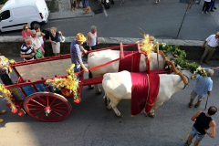 2015_cortona_carro-64