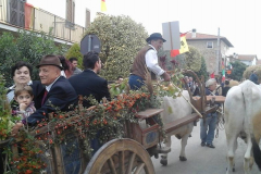 2015_carro-287
