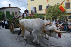 2015_carro-502