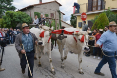 2015_carro-521
