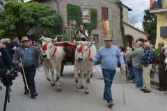 2015_carro-522
