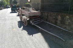 2017_carro-301