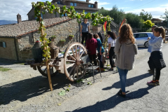 2017_carro-303