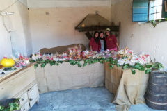 2017_carro-311