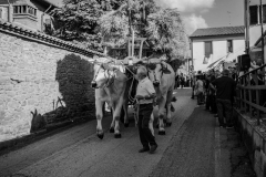 2018_carro-220