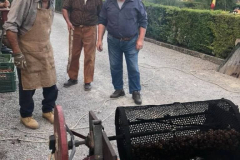 2018_carro-246