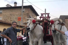 2018_carro-293