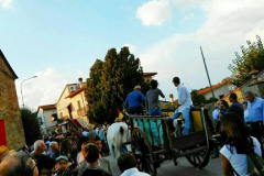 2018_carro-300