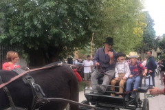 carro_2019_100