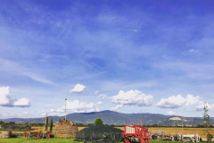 carro_2019_102