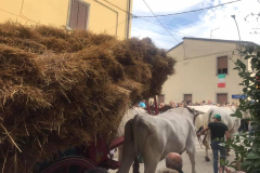 carro_2019_108
