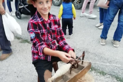 carro_2019_123