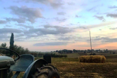 carro_2019_36