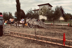 carro_2019_86