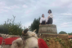 carro_2019_89