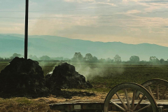 2022_carro_agricolo-104